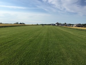 IMG_8906