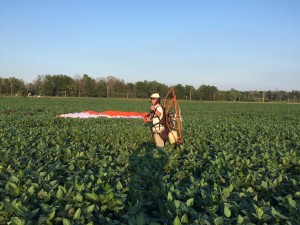 IMG_9272